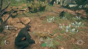 КАК ОБУСТРОИТЬ МЕСТО ДЛЯ СНА --- Ancestors: The Humankind Odyssey --- ГАЙД #1