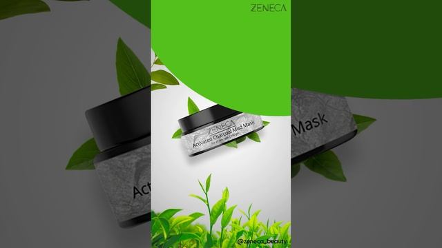 ZENECA Activated Charcoal Mud Mask