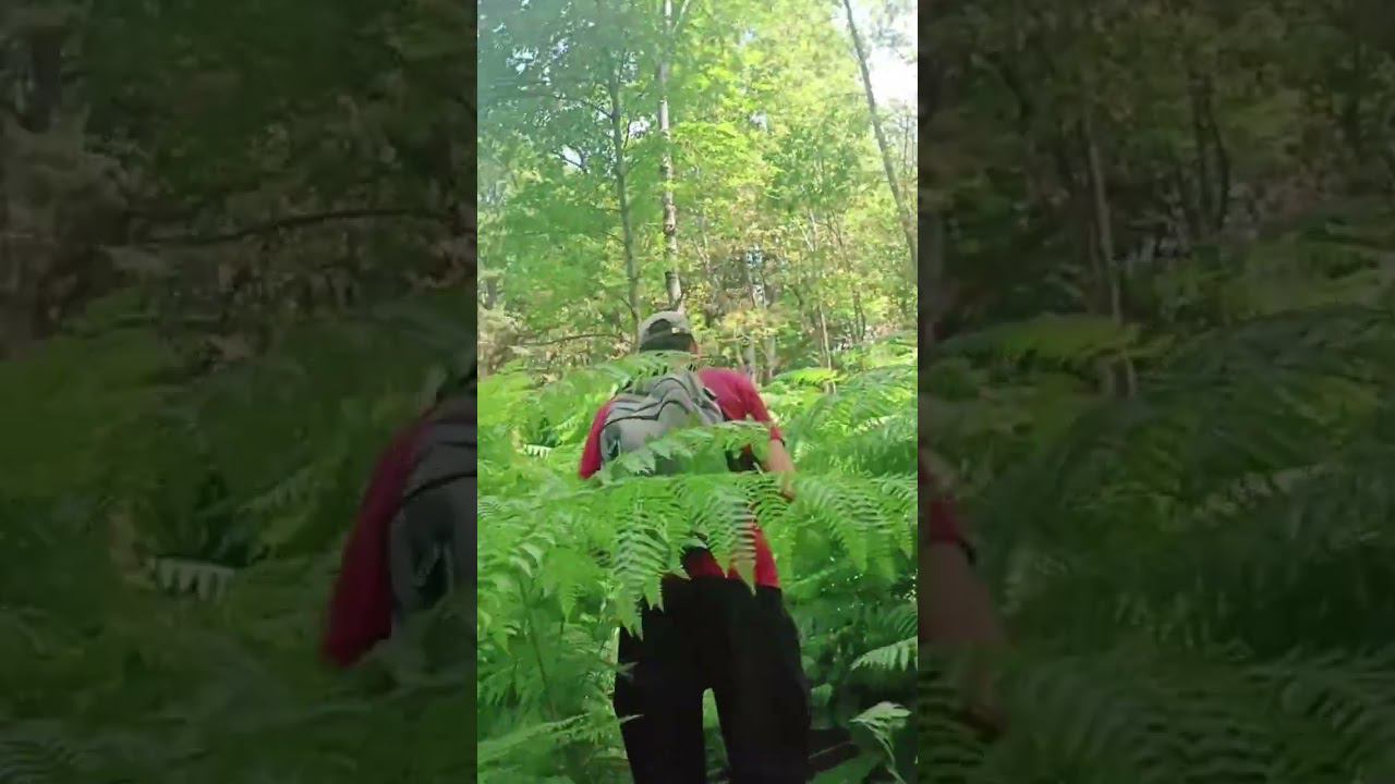 Короткий путь смотреть онлайн