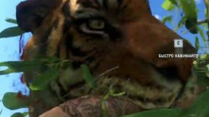 Far Cry 3 Смертельные атаки животных