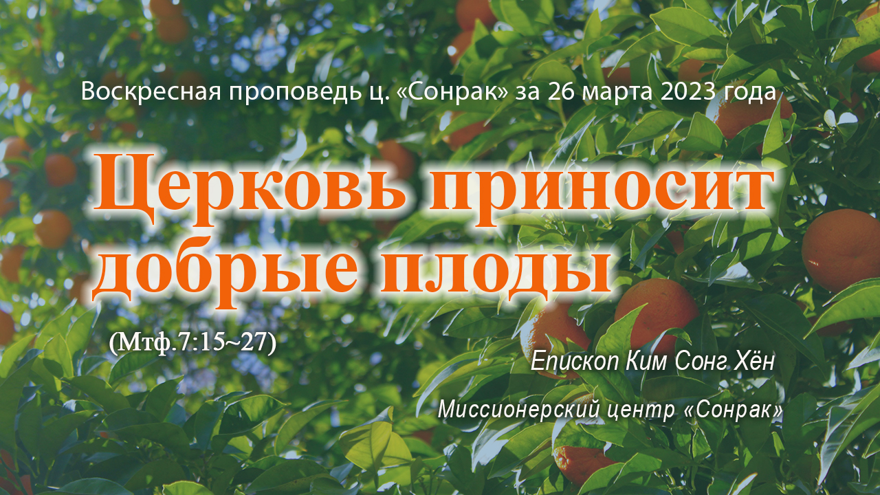 Дерево приносящее добрый плод. Доброго плода дерево. Смоква плод. Не может дерево доброе приносить