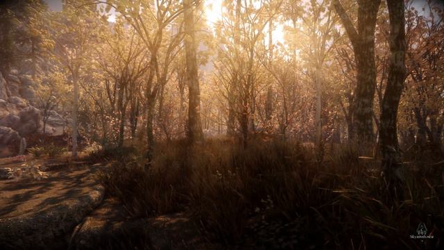 Skyrim Special Edition | 2019 | ENB | Ready for TES VI смотреть онлайн