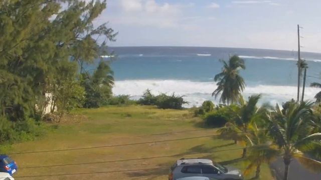 Какое молоко полезнее – диетолог раскрыла все секреты смотреть онлайн