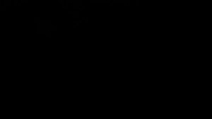 Украшай дом к Новому году (г.Сегежа)