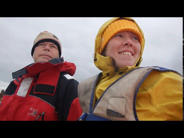 Перегон Фаворита Москва - Петрозаводск, июль 2020 смотреть онлайн