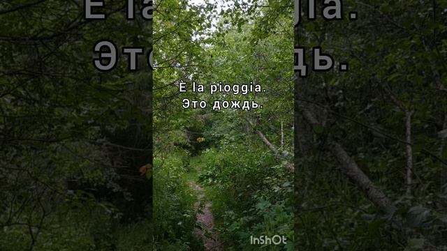 Слышите дождь? Sentite la pioggia?