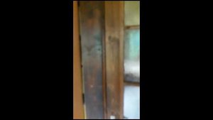 Продажа дома с земельным участком в дер. Переволок, Сланцевский р-н, Ленинградская область.