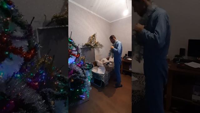 красивая елка стала 2020🌲🌲🌲👍👍👍👍 смотреть онлайн