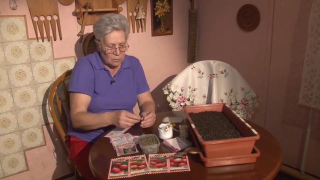 Голова садовая - ВАЖНО! Правильный посев томатов