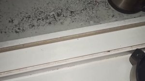 Лучший термос ZOJIRUSHI Тепловой тест Зодшируши при морозе -10