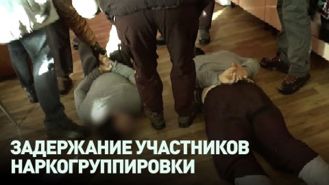 Задержание участников наркогруппировки в Подмосковье — видео