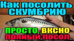 как посолить скумбрию - очень вкусный, пряный посол