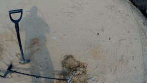 Пляжный поиск с металлоискателем XP ORX. Коп 2020