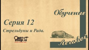От щенка до легавой собаки. Серия 12 - Знакомство с выстрелом.