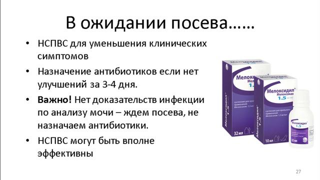 Инфекции мочевыделительной системы смотреть онлайн