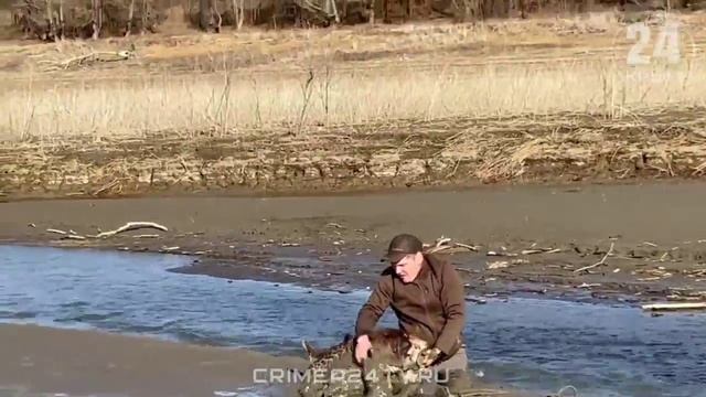 В Крыму спасли оленёнка, который застрял в иле