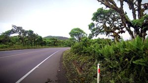 Галапагосские острова (часть 2-я) Невероятный Эквадор
