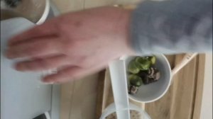 petal_20220611_200710.mp4