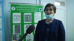 Птичий грипп: чем опасен вирус и как его распознать?