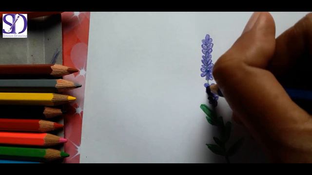 How to draw lavender flower смотреть онлайн