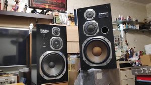 Diatone DS-503 микроАнонс