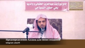 Шейх Ат-Тарифи - Предопределение Аллаха для своих созданий