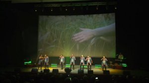 "Молодой агроном" муз. обр. артистов ансамбля "Дружина"