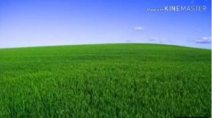 Сура Ясин 10 раз защищает от рака и сглаза и порчи