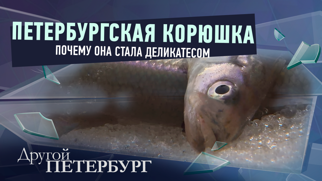 Секреты петербургской корюшки: путь от простой рыбки до настоящего деликатеса