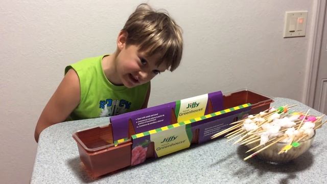 Дезинфицирование семян томатов в растворе марганцовки и древесного угля / Посадка семян / Сезон 201 смотреть онлайн