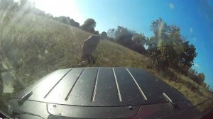 Уаз на 37" и порталах в дебрях Костромской обл. Руины храмов и деревень, грибы, следы медведей.