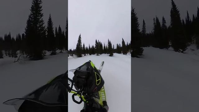 BRP brutal смотреть онлайн