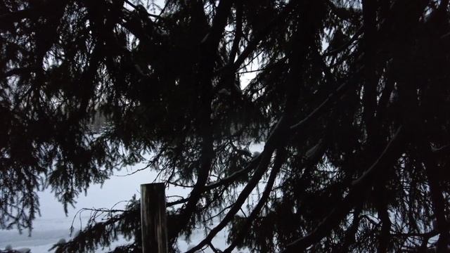 экспериментально-неэкстримальная лыжная прогулка по тайге с ночевкой под... смотреть онлайн