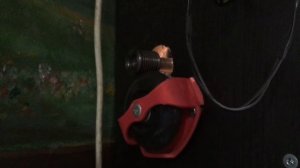 Ремонт стиральных машин Asko, модулей