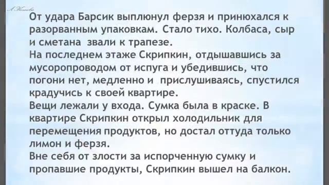 Кошачьи истории от Муси и Пуси Выпуск №7 Самая смешная история смотреть онлайн