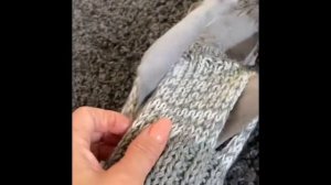 Тёплый жилет для Бонни ,вязание спицами.DIY одежда для кошки ?