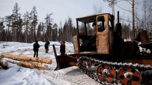 От звонка до звонка А Розенбаум