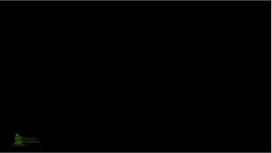 Анимация в Индизайне Стиль Событие Скорость Indesign для начинающих Журнал Верстка ? Урок 31