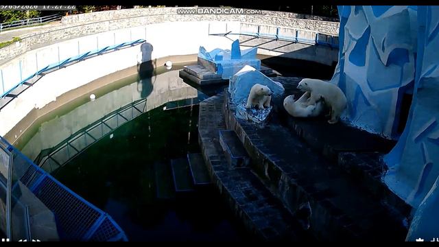 Лежачего не бьют! 09.05.2020 смотреть онлайн