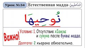 Естественная мадда