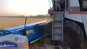 Очесывающая жатка Shelbourne CVS 20 (ШЕЛБОРН) с комбайном Ростсельмаш Вектор.