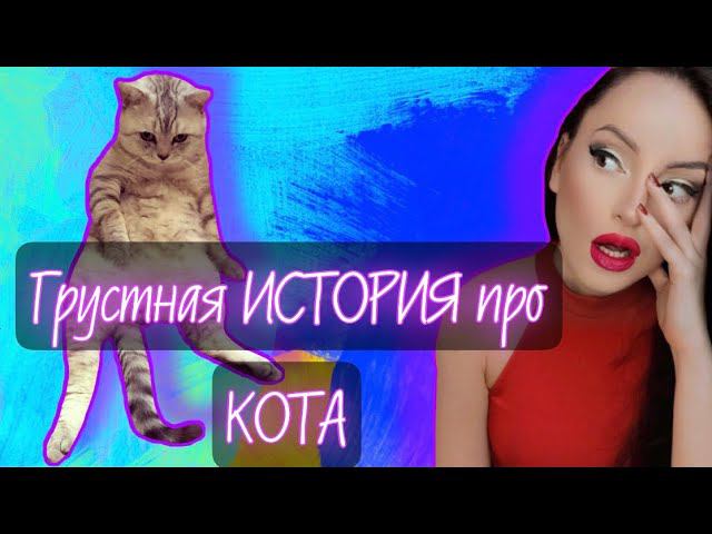 НОВОЕ ВИДЕО КУПЛИНОВА | ИСТОРИЯ ПРО МОЕГО КОТА | История кота (Болезнь кота)