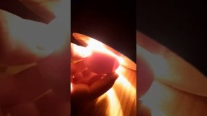 Просвечивание куриных и индюшиных яиц на овоскопе.