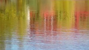 Релакс - Осенний лес