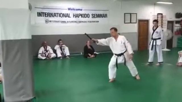 Танбон суль хапкидо. Сеул 2017. смотреть онлайн