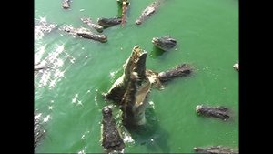 Таиланд. Река Квай Часть 1.