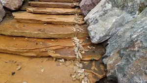 СДЕЛАЙ ЗА ОДИН ДЕНЬ!!! Водопад с альпийской горкой.