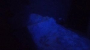 Приветствую?