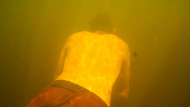 Река Сновь.Лето 2018 смотреть онлайн