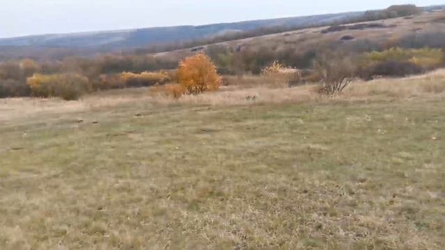 Село Дегтярное. Воронежская область. Вторая половина нашего отпуска 2021. #дегтярное